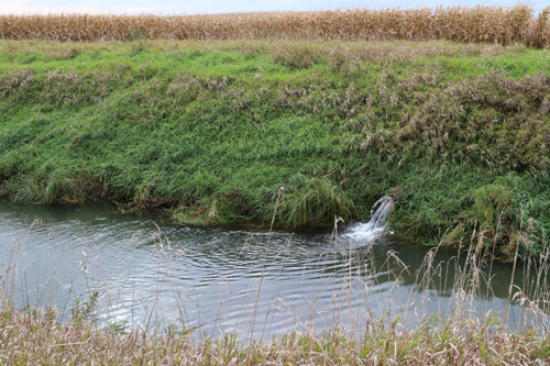 Farm fields in the Midwest often have tile drains under them; the drains are nutrient conduits.: Photograph by Praveen Kumar courtesy of NSF&gt;